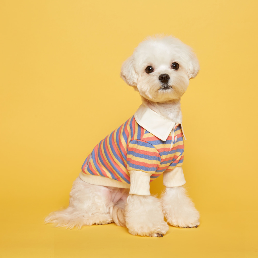 플로트 스트라이프 럭비 셔츠 옐로우페일레드 강아지옷