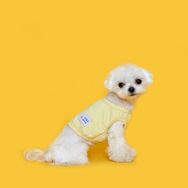플로트 코지 크롭민소매티셔츠 레몬 강아지옷