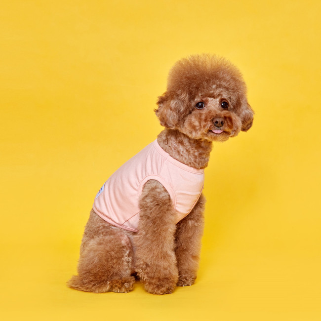 플로트 코지 크롭민소매티셔츠 피치 강아지옷