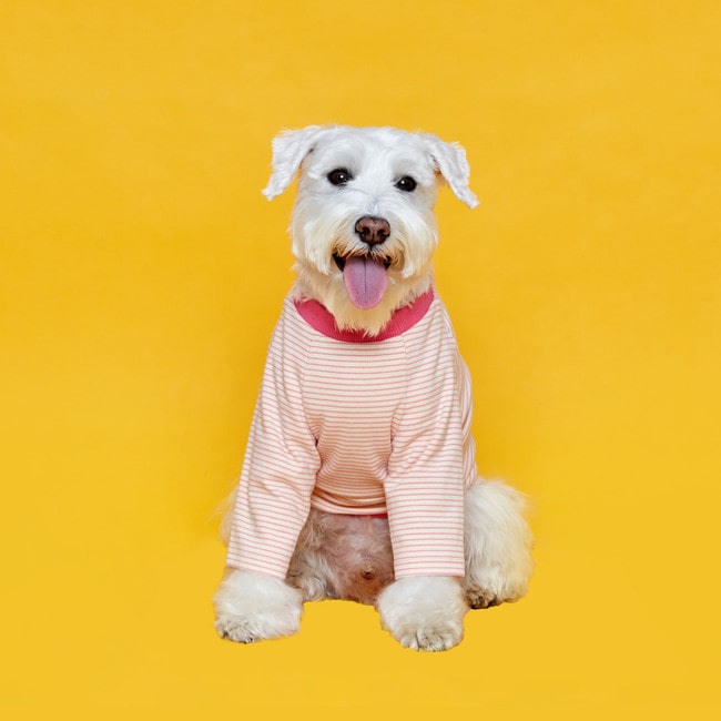 플로트 릴렉스보더 티셔츠 핑크 강아지옷