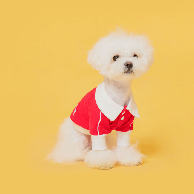 플로트 데일리피케셔츠 레드 강아지옷