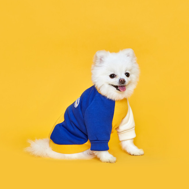 플로트 라인 맨투맨 옐로우블루 강아지옷