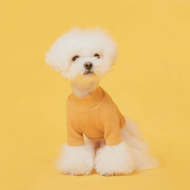플로트 베이직 하프넥티셔츠 옐로우 강아지옷